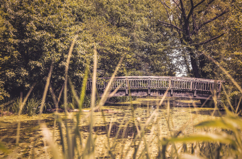 Creek Bridge Free Stock Photo