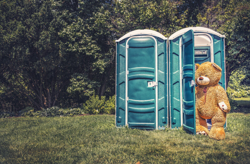 Teddy Bear Toilet Free Stock Photo