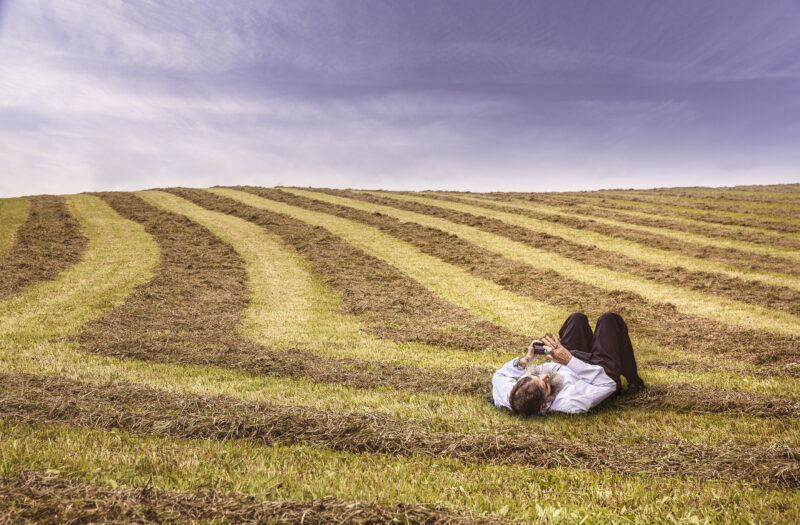 Relaxing in Farm Field Free Stock Photo