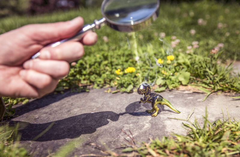 Magnifying Glass Free Stock Photo