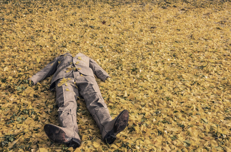 Man Falling on Leaves Free Stock Photo