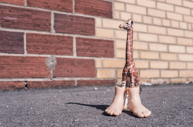 Toy Giraffe Free Stock Photo