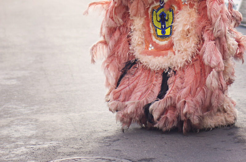 Happy Pink Costume Free Stock Photo