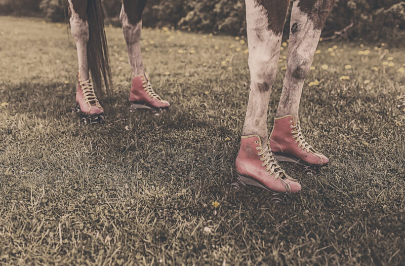 Cow Costume Free Stock Photo